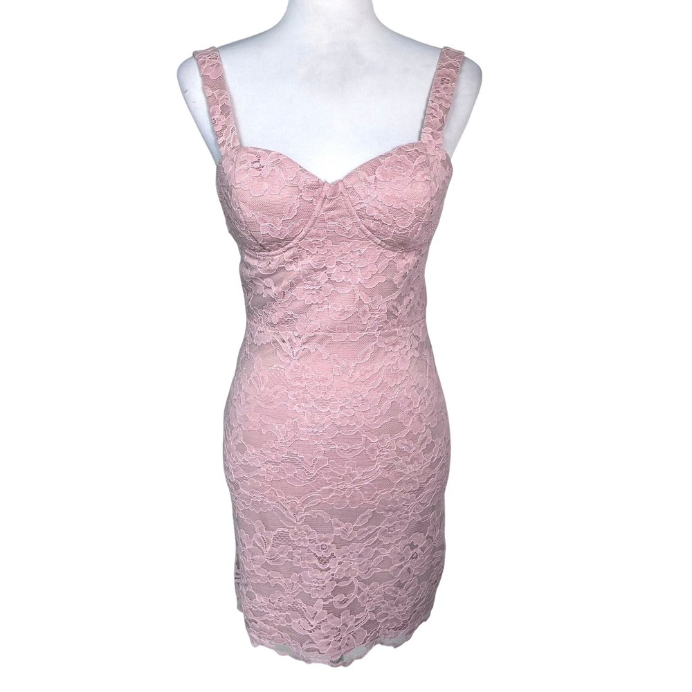 AQUA NWT Womens Small Blush Pink Floral Lace Lined Sweetheart Bustier Mini Dress